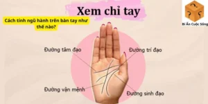 Cách tính ngũ hành trên bàn tay như thế nào?