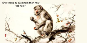 Tử vi tháng 12 của nhâm thân như thế nào ?